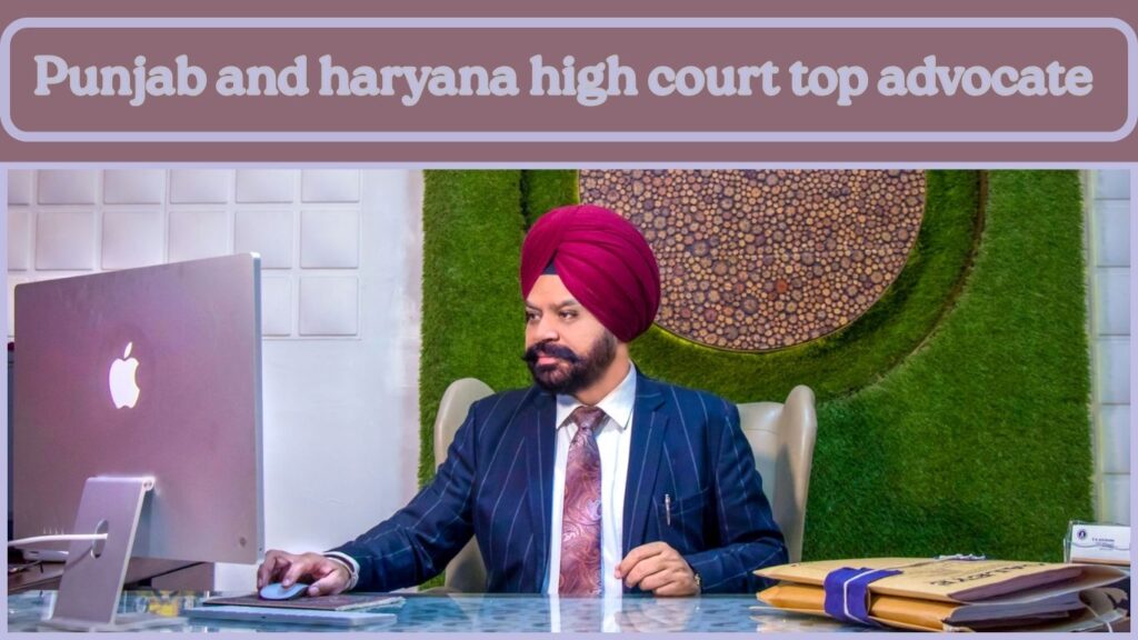 Punjab and haryana high court top advocate